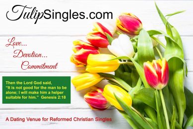 Reformed and Calvinistic Christian Website